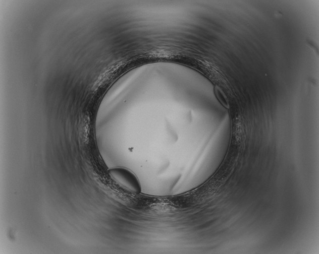 X0000100840544200807111154