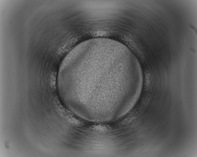 X0000100840545200807111154