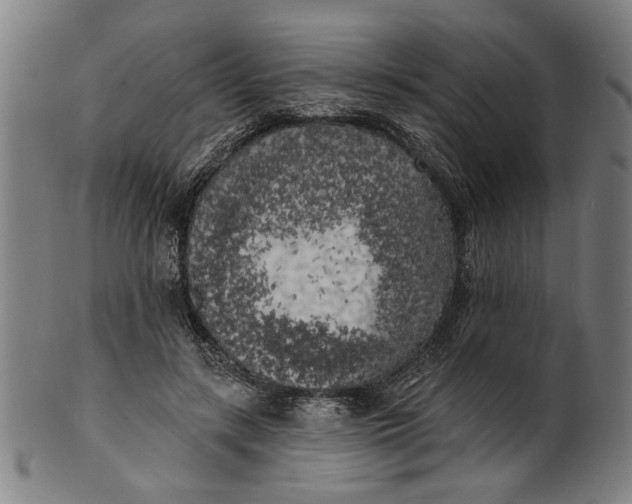 X0000100840547200807111154