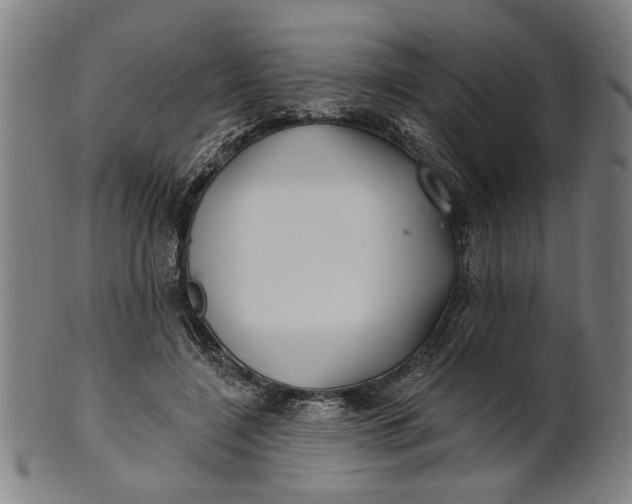 X0000100840548200807111154