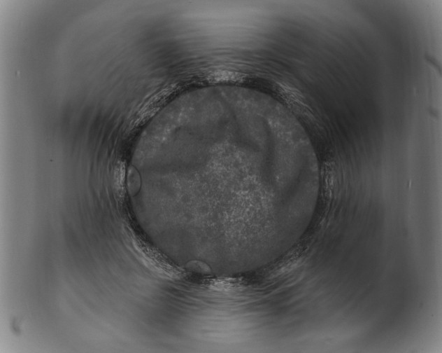 X0000100840550200807111154