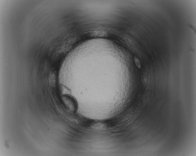 X0000100840551200807111154