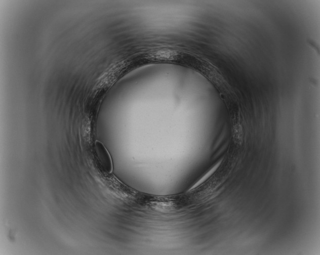 X0000100840552200807111154