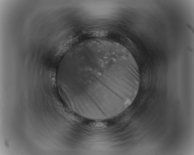 X0000100840553200807111154