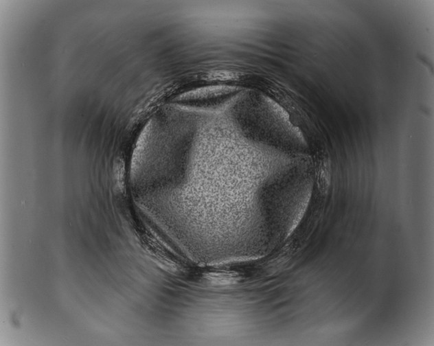 X0000100840556200807111154