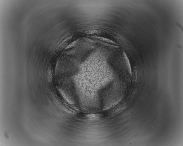 X0000100840558200807111154