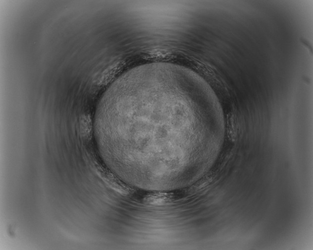 X0000100840563200807111154