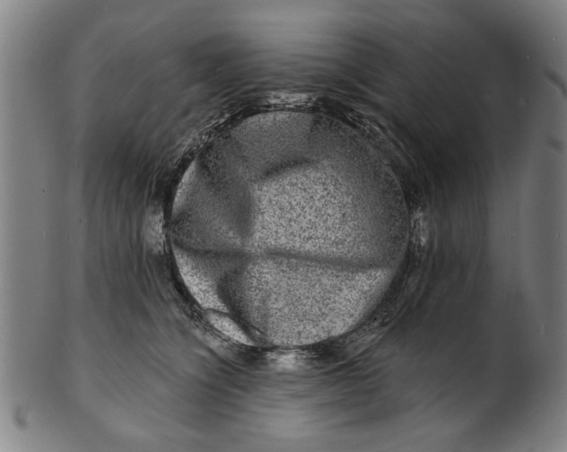 X0000100840564200807111154