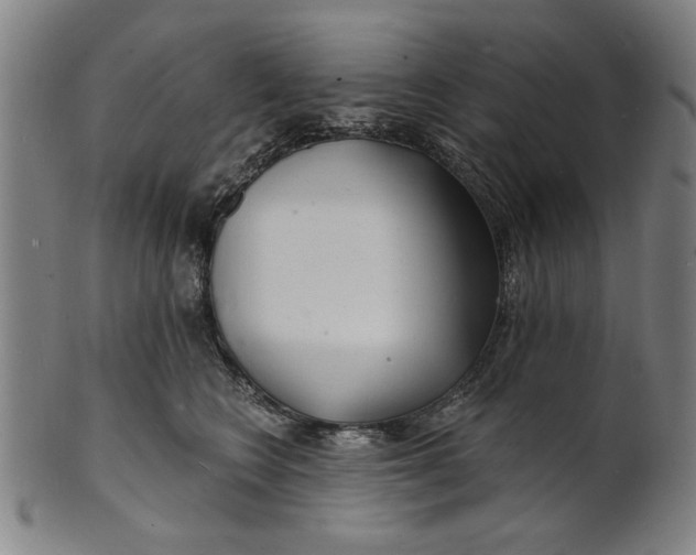 X0000100840566200807111154