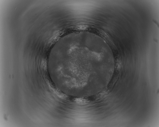 X0000100840568200807111154