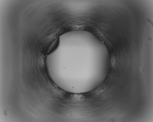 X0000100840570200807111154