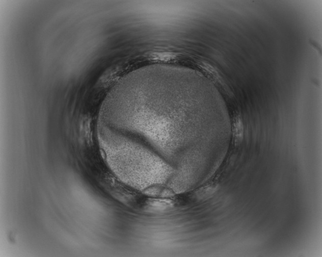 X0000100840572200807111154