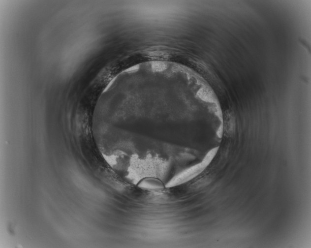 X0000100840573200807111154