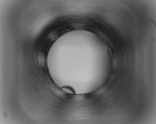 X0000100840574200807111154