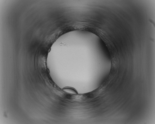 X0000100840575200807111154