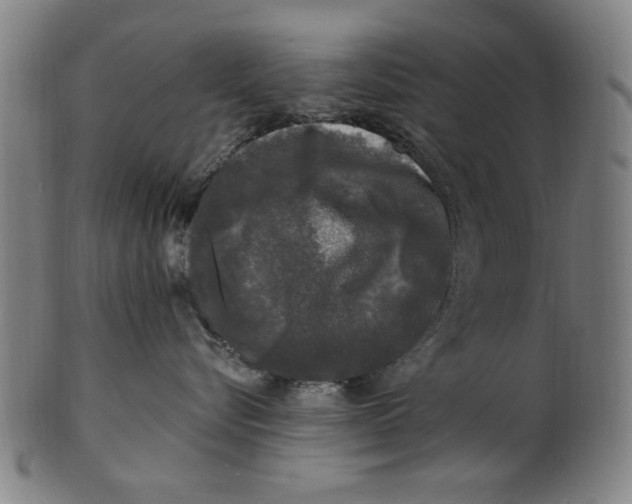 X0000100840576200807111154