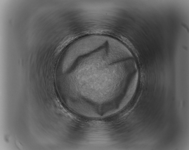 X0000100840577200807111154