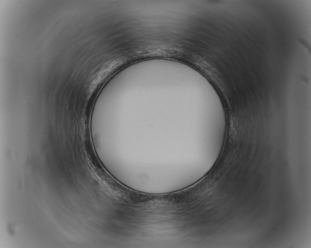 X0000100840578200807111153