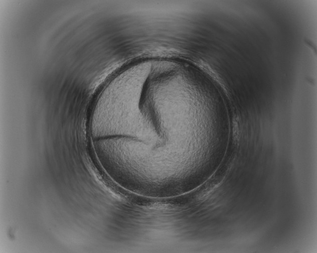 X0000100840581200807111153