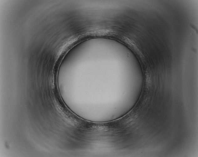 X0000100840582200807111153