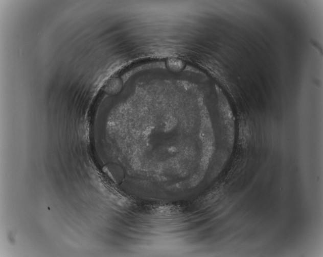 X0000100840584200807111153