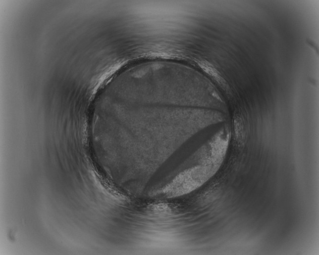 X0000100840588200807111153