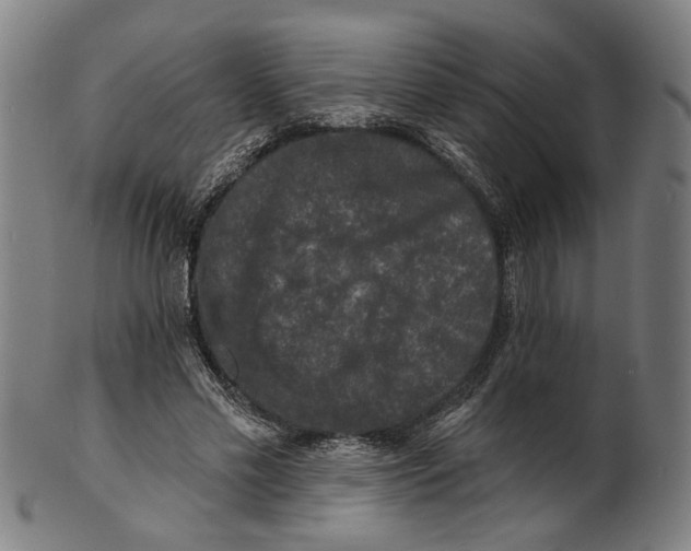 X0000100840589200807111153