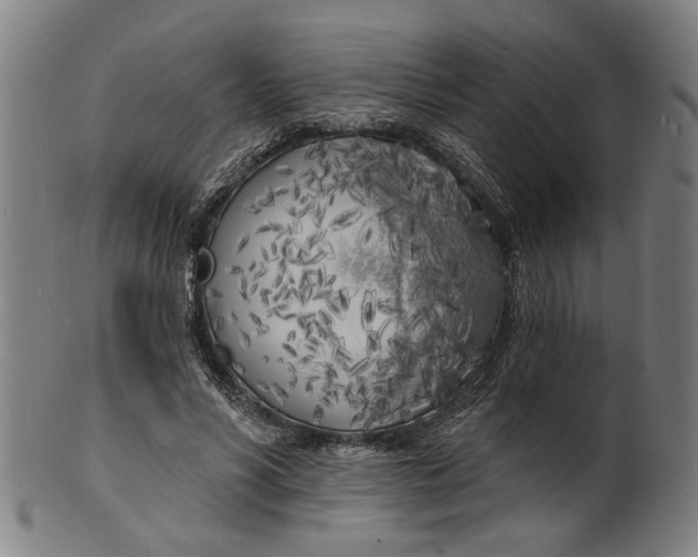 X0000100840590200807111153