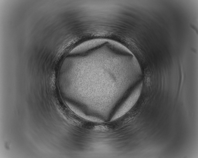 X0000100840591200807111153