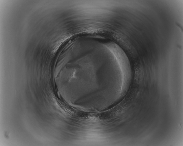 X0000100840592200807111153