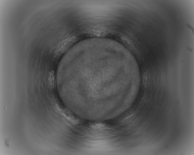 X0000100840594200807111153