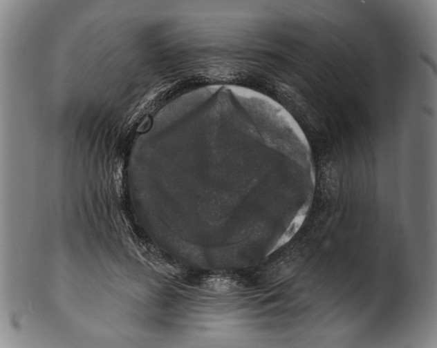 X0000100840596200807111153