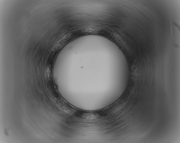 X0000100840597200807111153