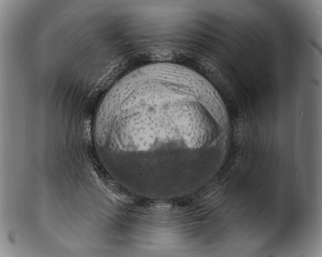 X0000100840598200807111153