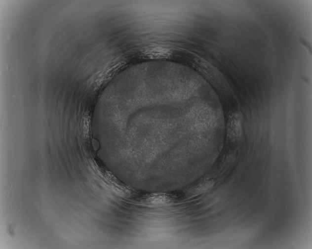 X0000100840604200807111153