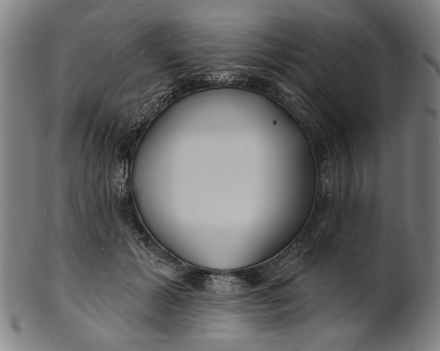 X0000100840605200807111153