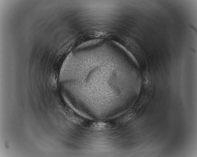 X0000100840607200807111153