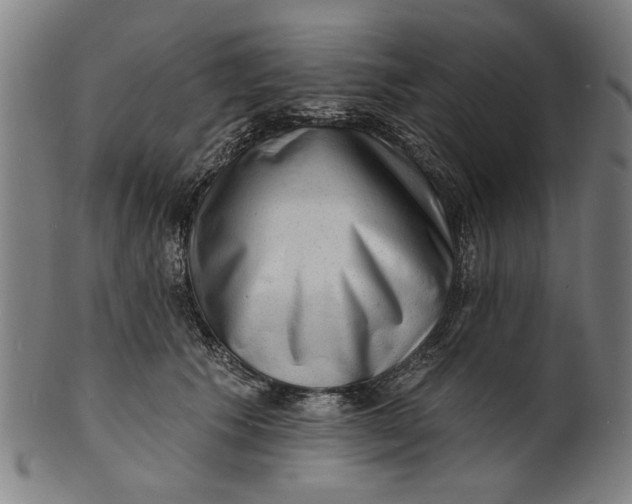 X0000100840609200807111153