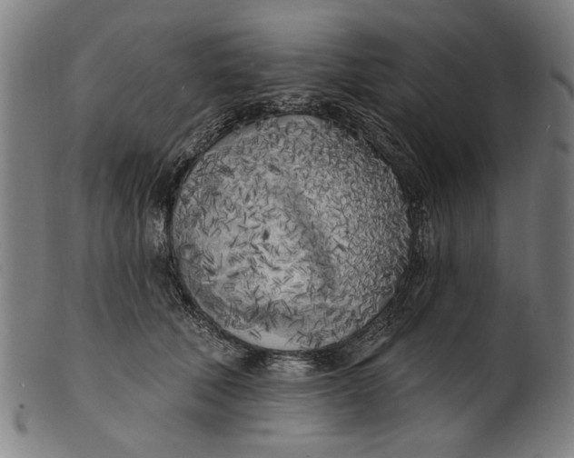 X0000100840610200807111153