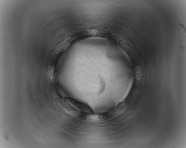 X0000100840611200807111153