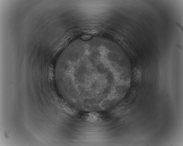 X0000100840612200807111153