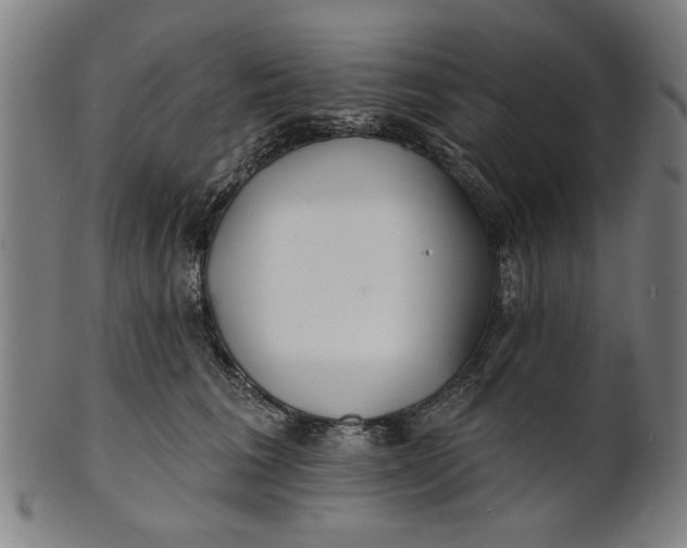 X0000100840613200807111153