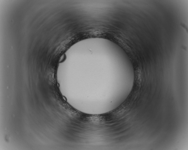 X0000100840615200807111153