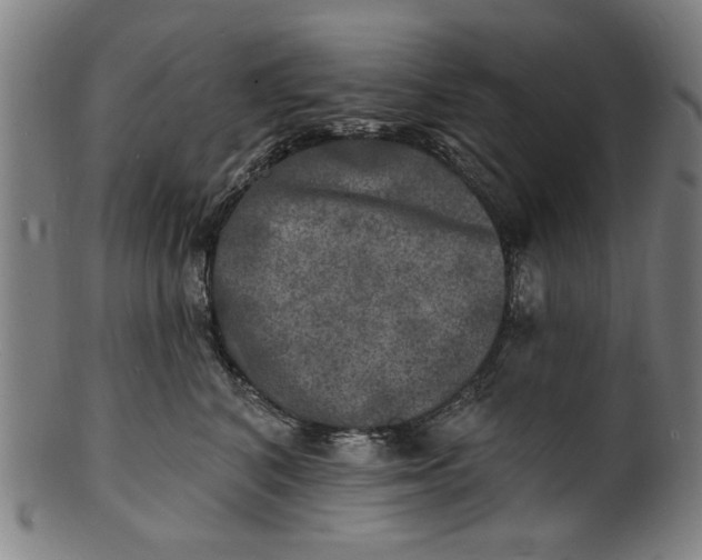 X0000100840616200807111153