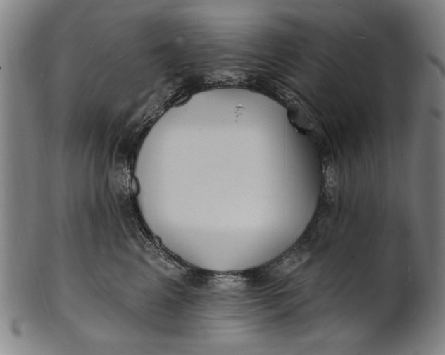 X0000100840617200807111153