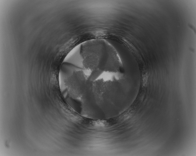 X0000100840618200807111153