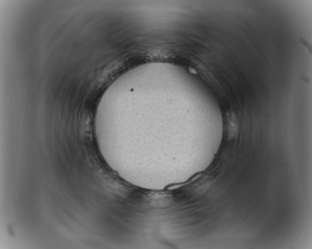 X0000100840619200807111153