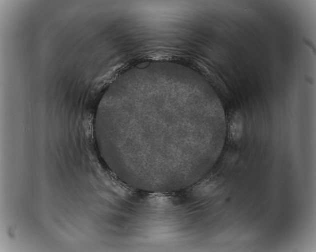 X0000100840620200807111153