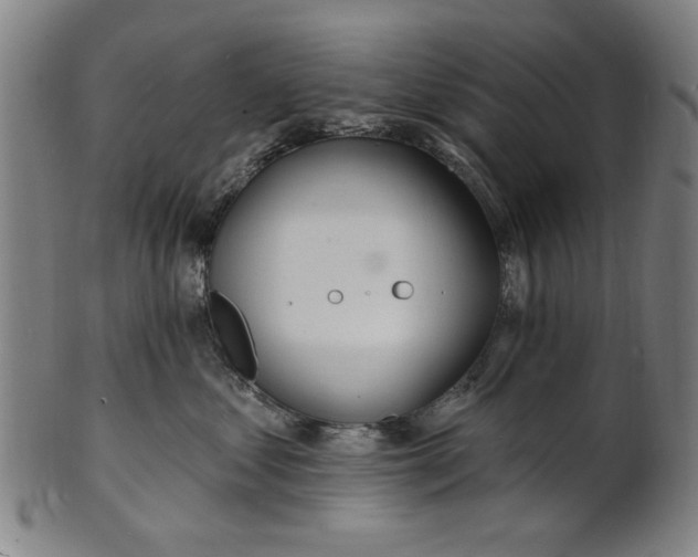 X0000100840621200807111153