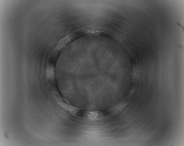 X0000100840623200807111153